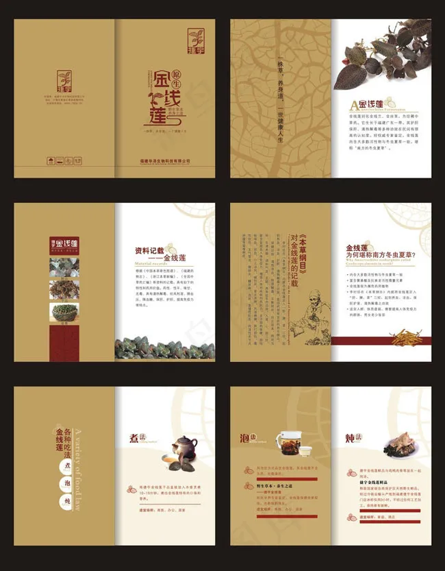 古典养身画册设计矢量素材cdr矢量模版下载