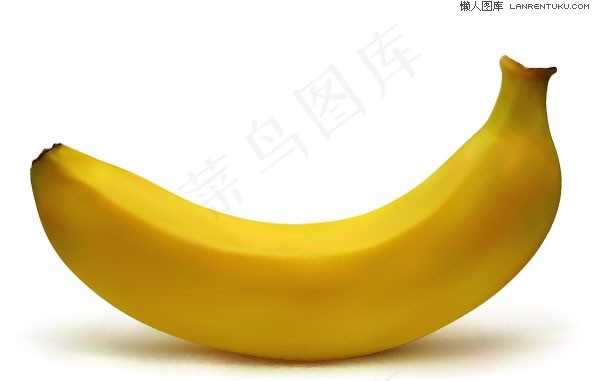 AI绘制的逼真香蕉矢量素材ai矢量模版下载