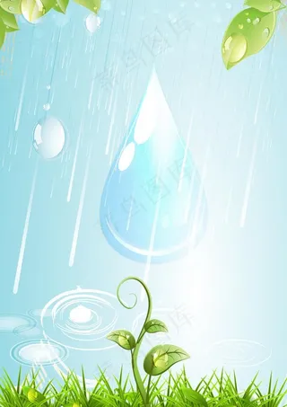 雨中的草地图片