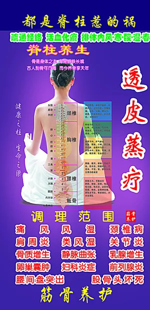 脊柱图分层图片