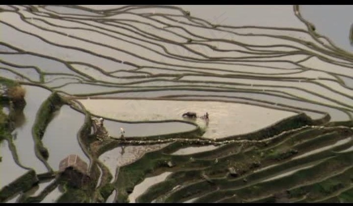 山水梯田视频素材图片