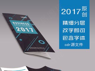 2017黑色科技线条商务商业三折页