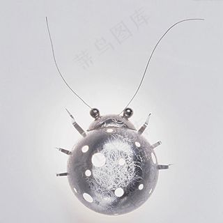 工艺品 七星瓢虫