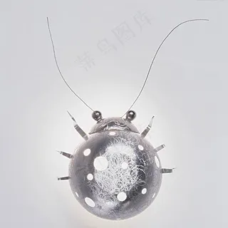 工艺品 七星瓢虫