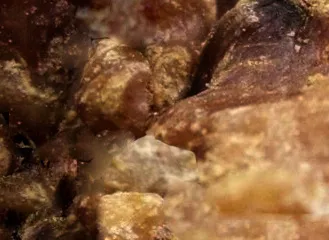 美味的冰淇淋