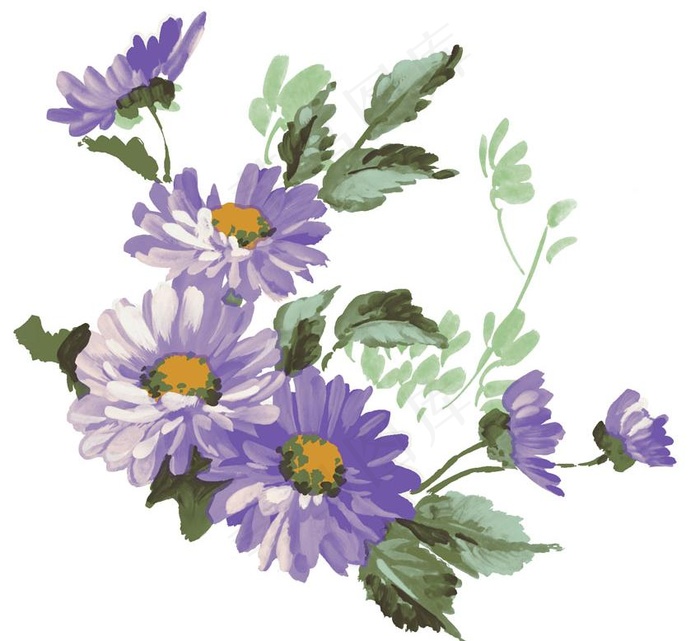紫色的鲜花