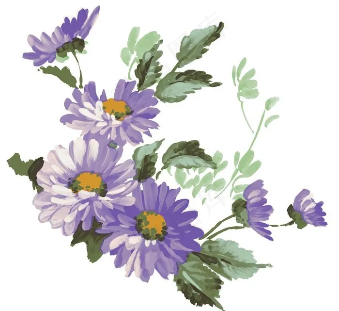 紫色的鲜花