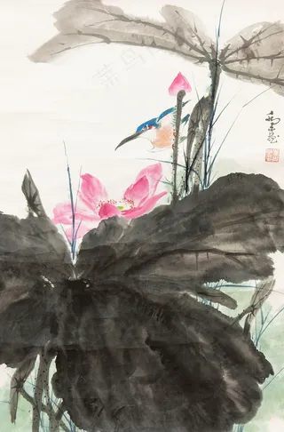 花鸟图片