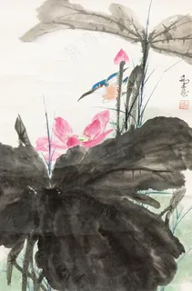 花鸟图片 花鸟图片