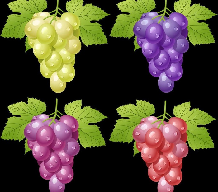 葡萄图片