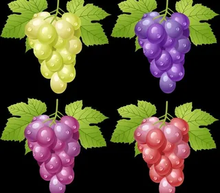 葡萄图片
