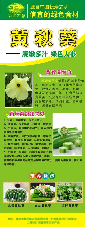 天天信宜黄秋葵X展架设计