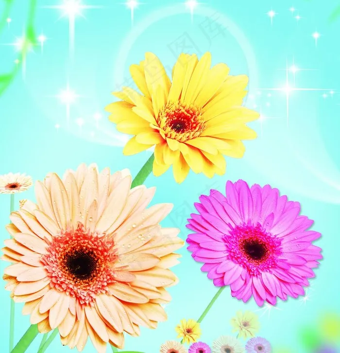 玻璃移门 菊花盛开(5312X5834(DPI:72))psd模版下载