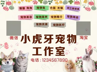 小虎牙宠物医院
