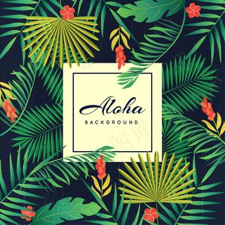 热带背景花卉主题背景