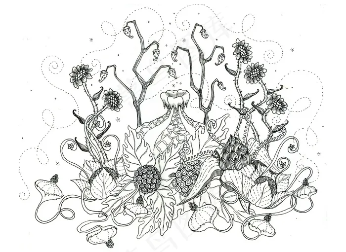 植物插画