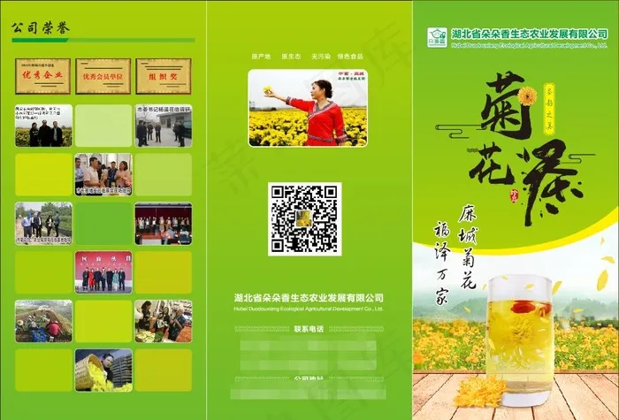 菊花茶折页cdr矢量模版下载