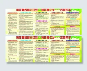 板报图片