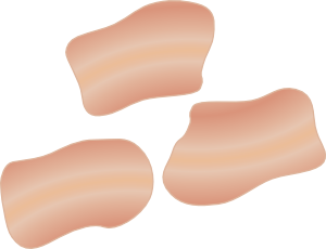 培根剪贴画