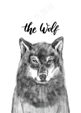 手绘素描卡通动物狼头像