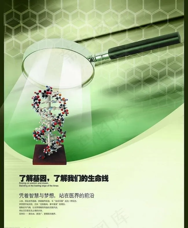 医药保健品画册图片