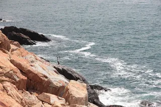 中国海陵岛图片