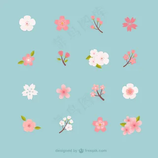 樱花的集合 樱花的集合
