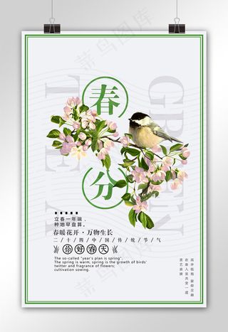 春分海报展板宣传二十四节气春分