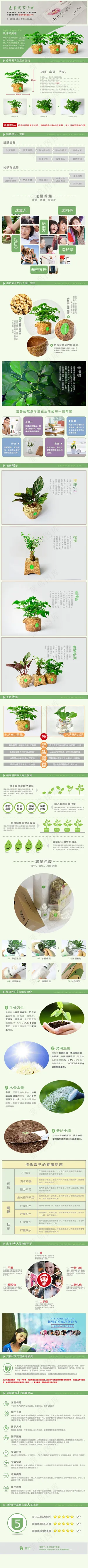 淘宝天猫植家简洁盆栽植物详情页