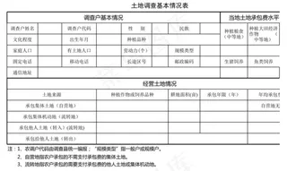 土地调查基本情况表