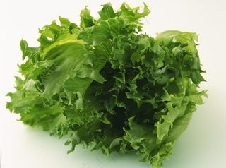 生菜图片
