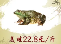 灯片cdr矢量模版下载