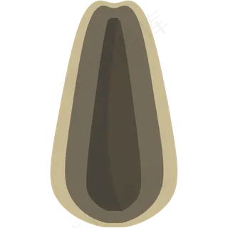 环境 大自然 植物 种子 (1)