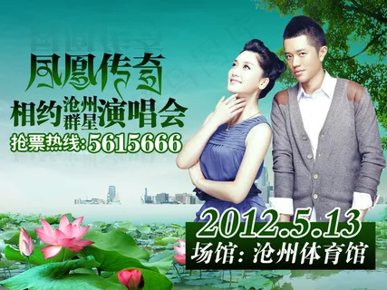 凤凰传奇演唱会海报PSD分层