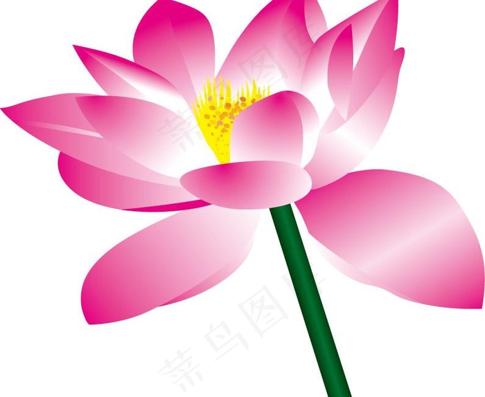 粉色矢量荷花素材图片ai矢量模版下载