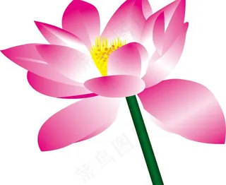 粉色矢量荷花素材图片