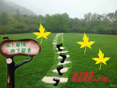 爱护花草psd模版下载