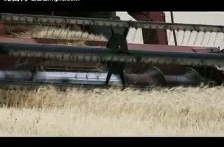 小麦收割视频素材图片