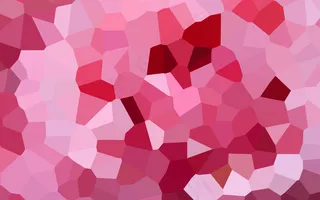 【想象森林】43