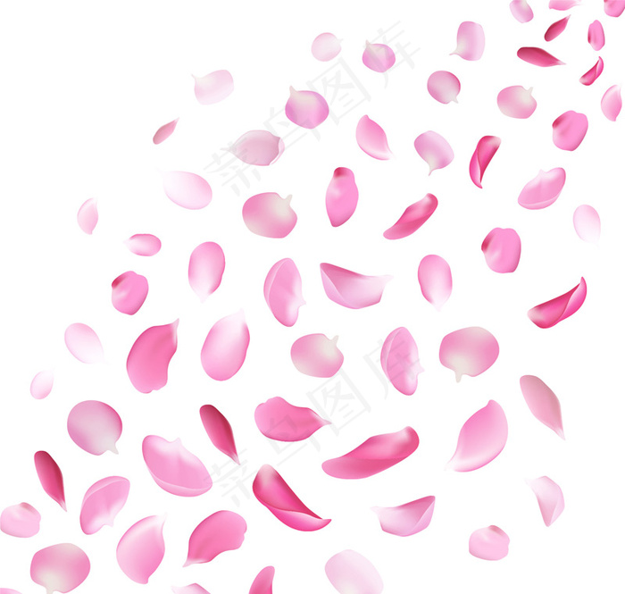 粉色花瓣设计矢量素材