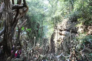 龙摩爷