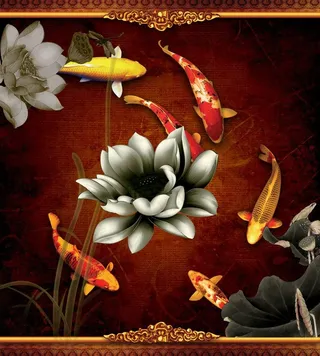 古典华丽锦鲤戏荷图片