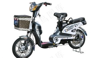 天津 顺风鸟 电动车图片