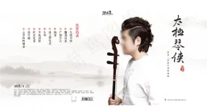 太极琴侠