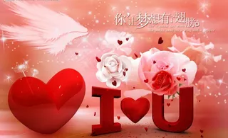 你让梦想有了翅膀图片