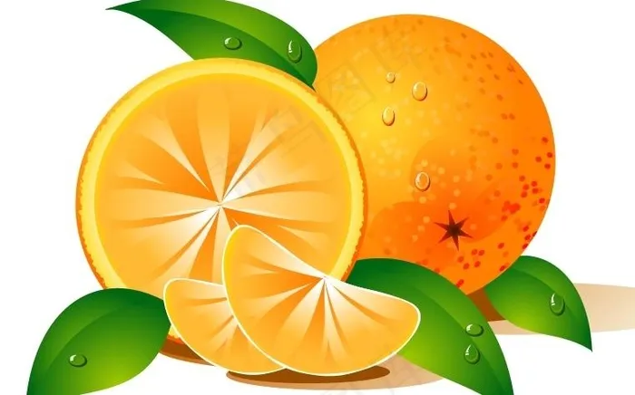 橙子水果矢量素材图片eps,ai矢量模版下载