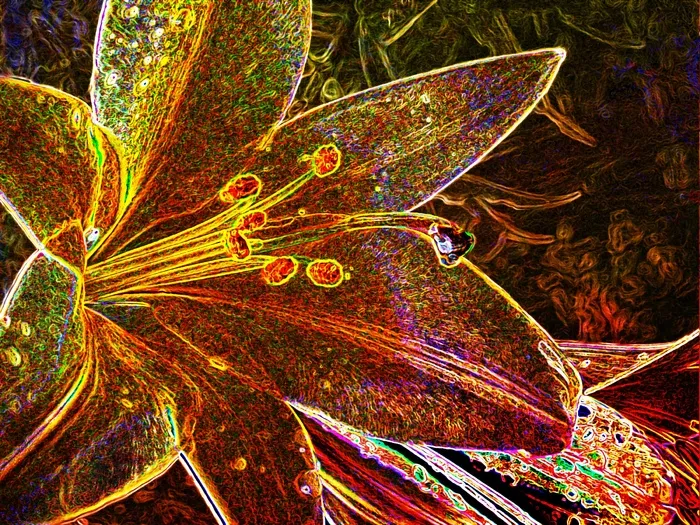 唯美色调的花草装饰图案高清图片素材...