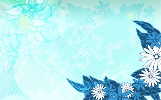 背景 玫瑰 百合 菊花