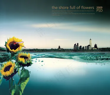 向日葵湖面地产 向日葵湖面地产