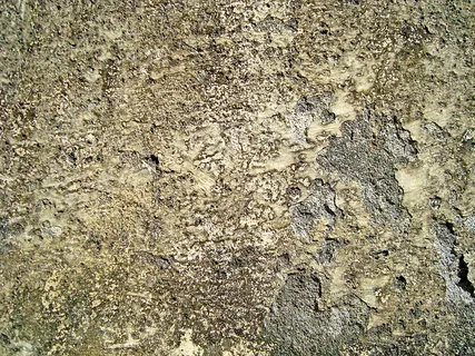 grungy_bg grungy_bg